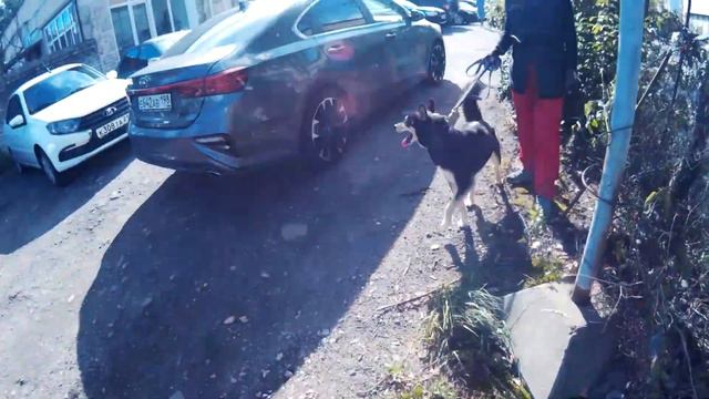 Тагир смотреть онлайн