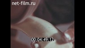 1977г. село Уэлен. Чукотка.