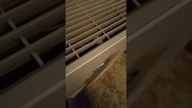 VID-20240316-WA0030 смотреть онлайн