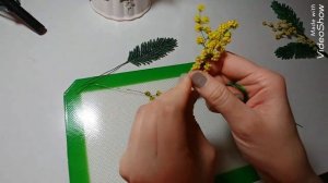 Мимоза из бисера МК от Koshka2015 - цветы из бисера, бисероплетение Часть 3 Сборка веточки  flowers