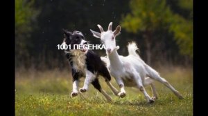 Сборник -Улитка -Маленький домик у кошки -Лошадка пони -Козлик -песенка для Мамы -1001 песенка