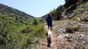 Поход по Байдаро-Кастропольской стене | Горный Крым 2020