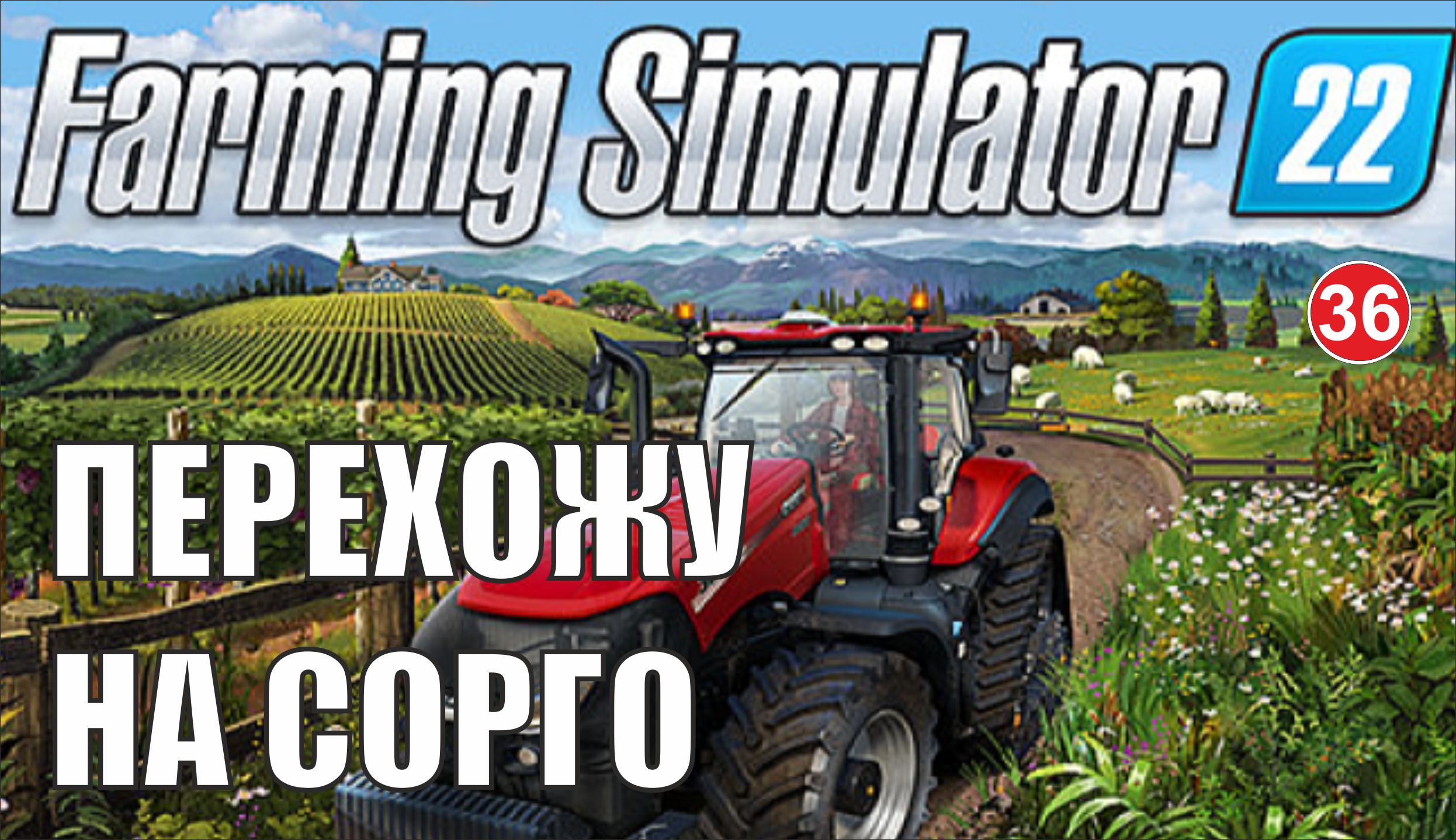 Farming Simulator 22 - Перехожу на сорго