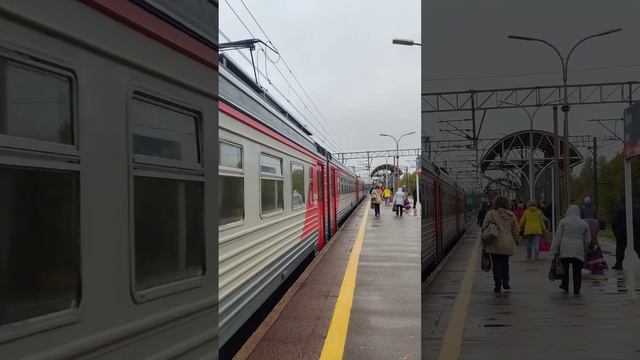 ЭТ2М-116 прибывает на станцию Тосно #поезда #транспорт #россия #ржд #спб #электричка #тосно смотреть онлайн