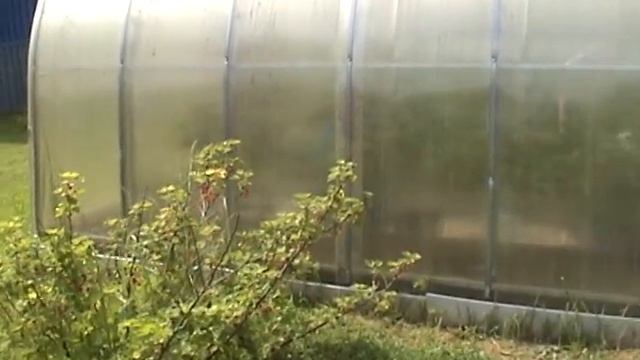 Рыбный день на даче Коптим окуня -терпуг . смотреть онлайн