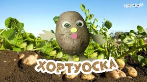 Хортуоска