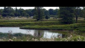 яр обл п. константиновскии