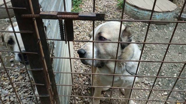 Хамир и Тамира смотреть онлайн