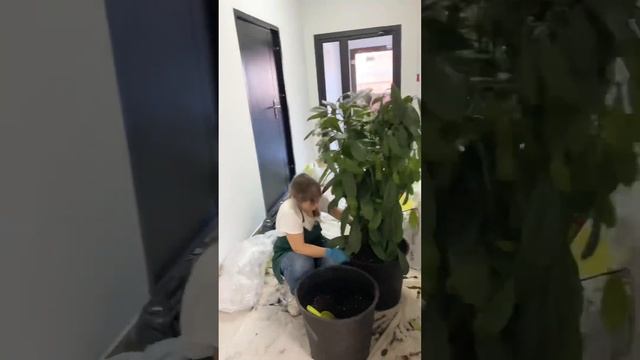 Один день из жизни агронома в городе Н часть первая