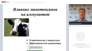 Микотоксикозы КРС и современные методы борьбы с ними