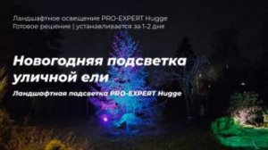 Новогодняя подсветка уличной ели с помощью PRO-EXPERT Hugge - невероятно быстрый и простой монтаж