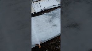 Некондиция профнастил из упаковочного листа