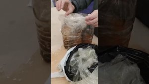 Берёзовый сок для стабилизации дерева