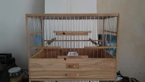 Небольшие клетки для певчей и декоративной птицы.