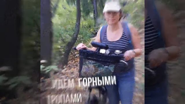 Велопробег по Самарской Луке смотреть онлайн