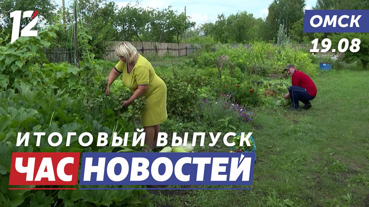 Лишение дачных участков / Рюкзаки для первоклассников / Открытие мурала. Новости Омска