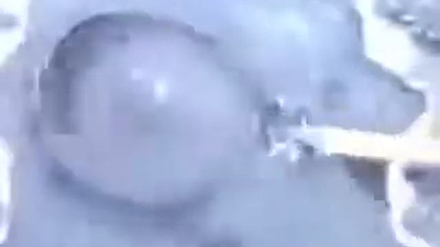 Как добыть мотыля смотреть онлайн