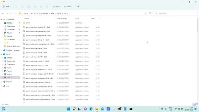 How to Install Java In Window 11 (With Environment Variables Setup) смотреть онлайн