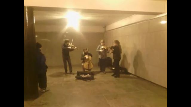 Музыка Питера. The Jungle Quartet 02 смотреть онлайн