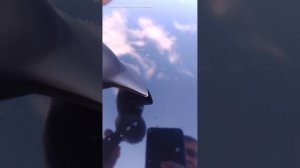 ПЯТНА ОТ ГРЯЗИ НА АВТОМОБИЛЕ. УСТРАНЕНИЕ. БЕЗ ПОЛИРОВКИ И ПЕРЕКРАСА. ПЯТНА НА КАПОТЕ.УДАЛЯЕМ ПЯТНА.