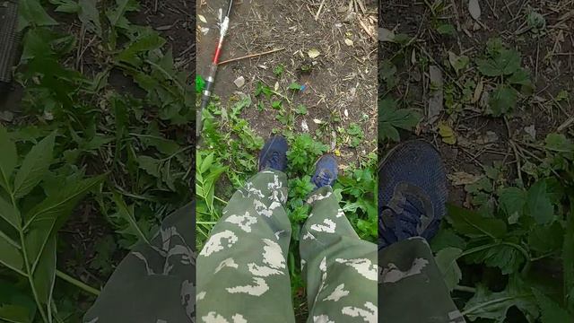 Поймал плотву с первого заброса Рыбалка в Москве на реке Яуза в СВАО, Свиблово, 26.05.2023, день смотреть онлайн