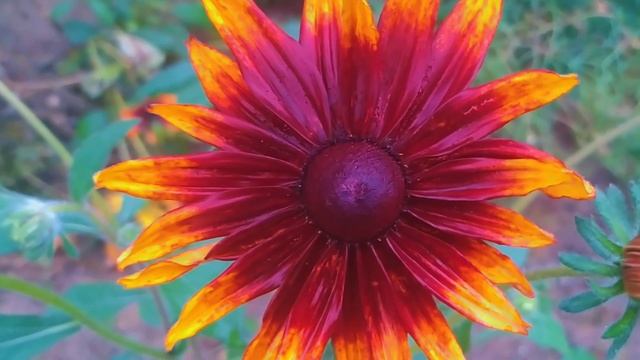 14 октября - Покров Пресвятой Богородицы! Что нельзя делать в Покров? Народные Приметы и Традиции. смотреть онлайн