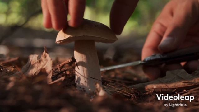 White Rabbit (Music Video) -Jefferson Airplane- смотреть онлайн