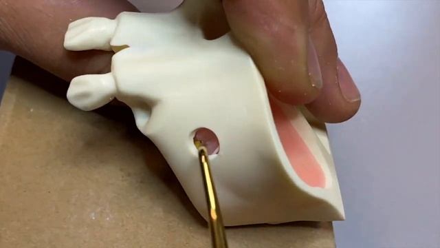 NeoBiotech Broadcast Ep 6 смотреть онлайн