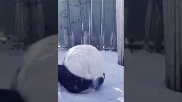 Это так я спешу на работу)))