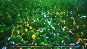 AMINO ULTRA®: ТЕХНОЛОГИЯ СВЕРХБЫСТРОГО ПИТАНИЯ РАСТЕНИЙ