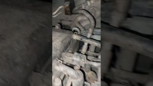 крысы под капотом .