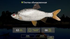 Точка с плотвой на озере Комариное • Русская рыбалка 4 • Ловля фидером