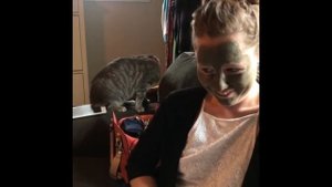 Кот шипит на хозяйку из-за маски