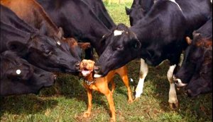 Ожившие демотиваторы 2