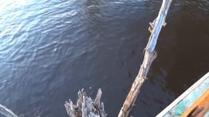 Украли сети! Рыбалка на сети / Ставим всё заново / Река Печора.