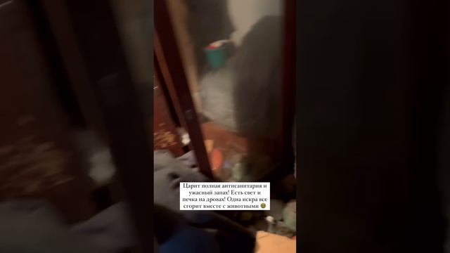 Срочный сбор‼️