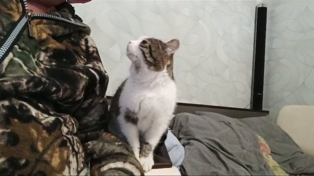 Томас