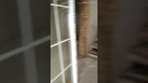 Установка витражных окон. Окна Rehau intelio 80 профиль, 6 камерный