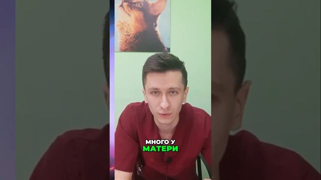 Как балансировать уровень кальция для собак