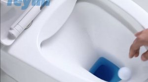 Унитаз напольный Моноблок Teymi Solli безободковый, сиденье микролифт T41101