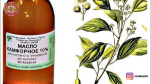 На Этом Рецепте Помешан Весь Мир!Лечит Ваши Колени И Восстанавливает Кости И Суставы В Короткий Сро