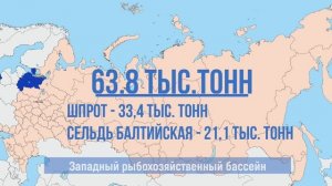 ? Российские рыбаки идут с превышением по объему вылова: добыто 4,6 млн тонн, +11,2% к уровню 2022