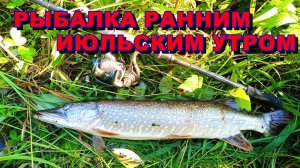 Рыбалка на щуку летом. Раннее утро.