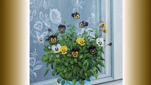 Живопись и графика Назаренко Галины