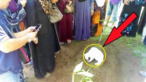 Этот кот пришёл проводить хозяина в последний путь и не захотел уходить!