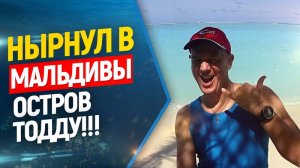 ☀️?Ныряем на Мальдивах! Остров Тодду.  Фридайвинг. Акулы, манты, черепахи.  Freediving  Maldives