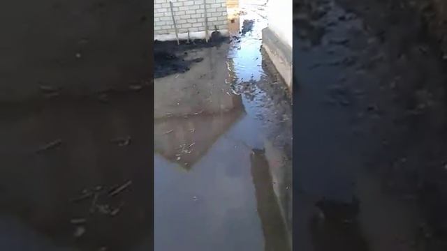 Весна пришла смотреть онлайн