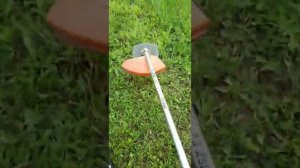 Бензокоса Stihl FS 250 с диском Champion (для травы и мелкого кустарника)