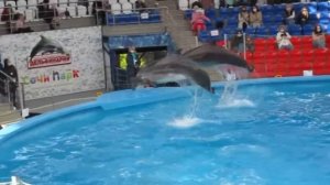 Сочи Парк. Дельфинарий. (25 ноября 2021 г.)