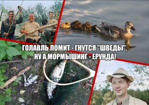 Голавль ломит - гнутся "шведы", ну, а мормышинг - ерунда!